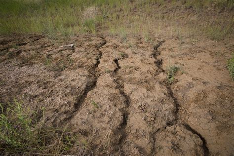 What Are The Types Of Sheet Erosion at Arthur Powell blog