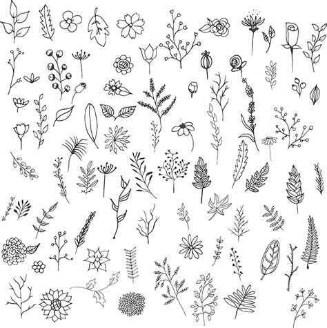 Hand Drawn Collection Vector Art PNG, Hand Drawn Flowers Collection ...