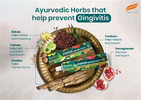 Gingivitis – Himalaya Wellness (India)