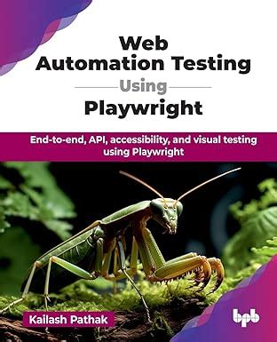 Playwright API Automation 的图像结果