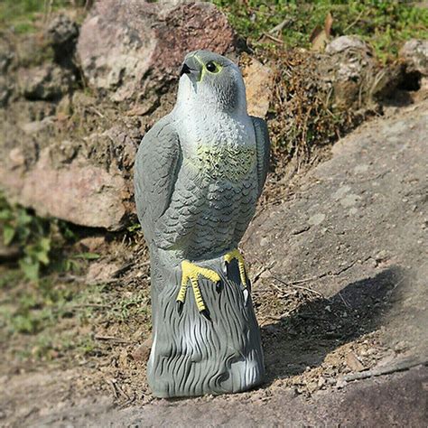 Why to avoid using mothballs to prevent pigeons on your roof | Homebuilding