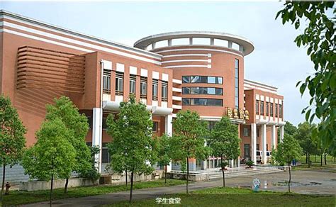 最新： 2021年湖北省部分高中清北录取人数汇总_武汉