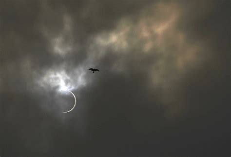 Parts of India witness rare annular solar eclipse | See stunning pictures