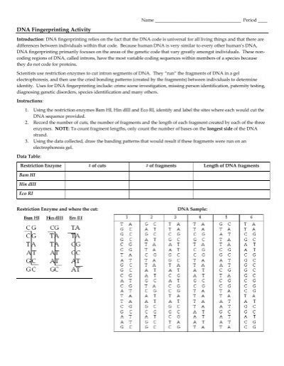 Image result for DNA Fingerprinting Lab Worksheet Printable