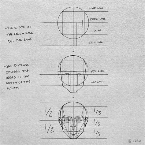 How to draw a face using proportions part 1 – Artofit