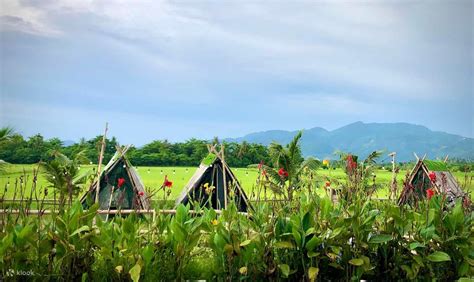 Countryside ATV Ride in Penang Balik Pulau - Klook India