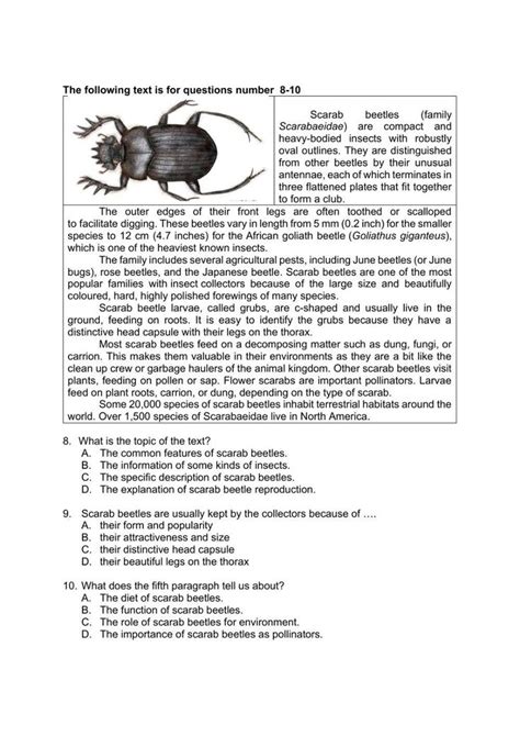 Image result for 5 Report Text Questions