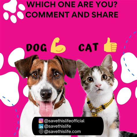 Save This Life - Microchip & Pet Recovery System (@savethislifeofficial ...