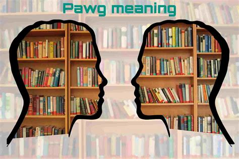 Exploring PAWG Meaning its Origins and Impact/ Best In 2024