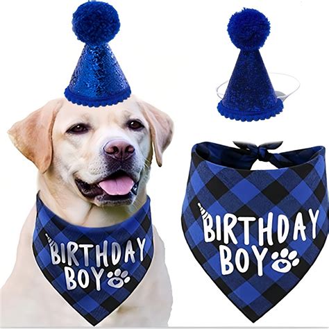 Dog Birthday Bandana, Boy Dogs Birthday with Hat, Pets Birthday Party ...
