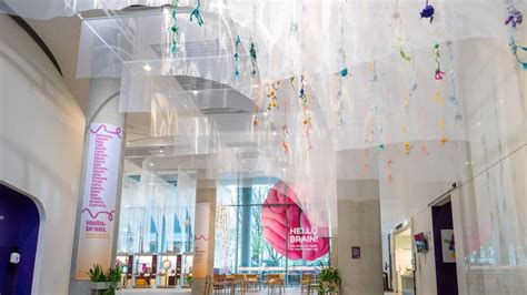 Image result for Hello Brain