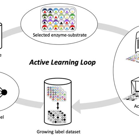Active Learning Process 的图像结果