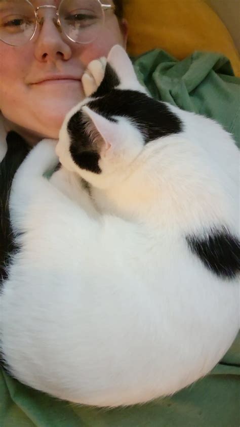 Understanding What Does Dni Mean Medical: A Comprehensive Guide - The ...