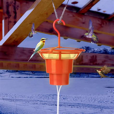 Sam S Club Deer Feeder at Robert Hambright blog