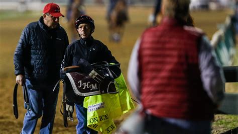 Kentucky Derby hopeful Wild On Ice euthanized after training injury