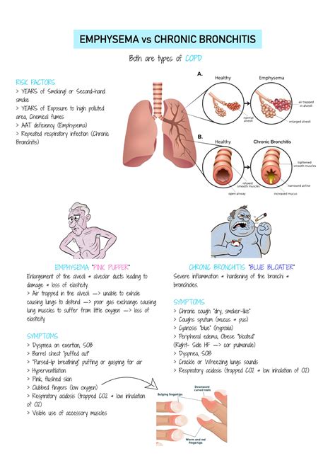 Respiratory System - Lung Health | Respiratory Health