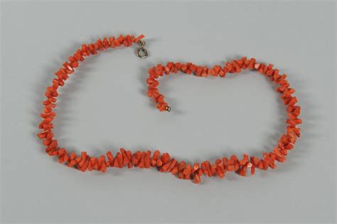 Image result for Sea Shells Prints