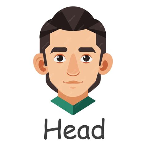 Head human body parts minimal flat vector illustration on white background | Premium Vector