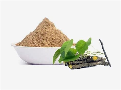 Ayursatva Pharma LLP