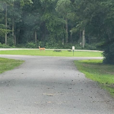 Sidie Hollow County Ridge Campground | Viroqua, WI