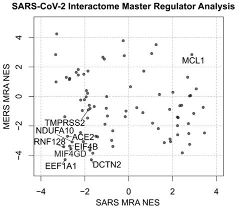 Master Regulator Analysis of the SARS-CoV-2/Human Interactome