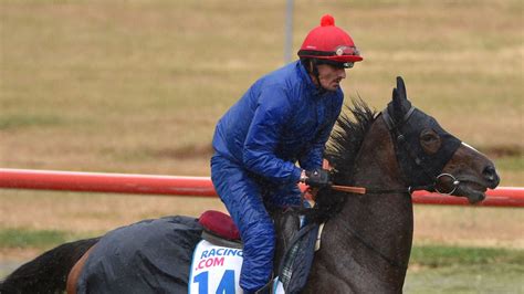 My Ambivalent passed fit to run in Emirates Melbourne Cup | Racing News ...