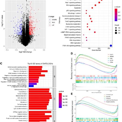 Volcano Plot Explained 的图像结果