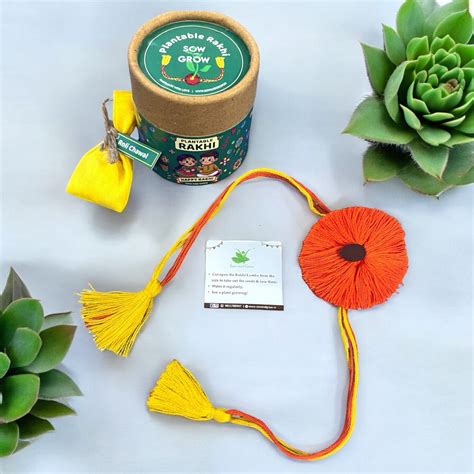 Premium Orange Thread Rakhi with Torai and Lal Saag Seeds with Roli Ch ...
