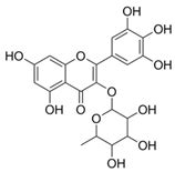Roles of Syzygium in Anti-Cholinesterase, Anti-Diabetic, Anti ...