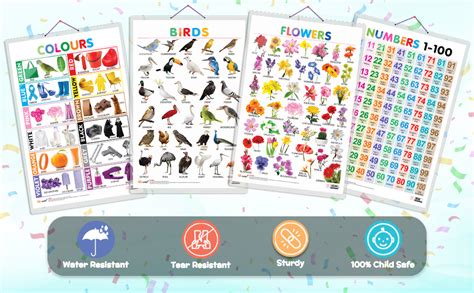 Buy Set of 4 Birds, Flowers, Colours and Numbers 1-100 Early Learning ...