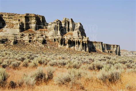 Pillars Of Rome Jack Ludlow at Joshua Freeman blog