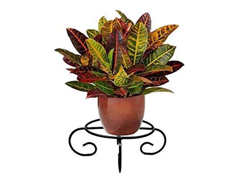 Rise Corp Round Iron Plant Stand/Pot Stand for Home, Garden, Balcony ...