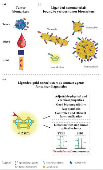 Nanotechnology in Tumor Biomarker Detection: The Potential of Liganded ...