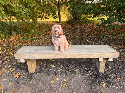 Winter work sessions, Alexandra Millennium Green, Surbiton, Kingston ...