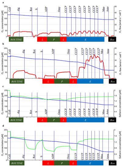 A Link between Mitochondrial Dysregulation and Idiopathic Autism ...