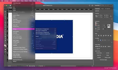Image result for Windows InDesign