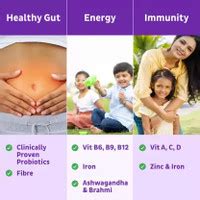 Good Monk Family Nutrition Mix|Energy & Immunity|Multivitamin (B12, C ...