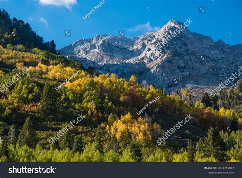 Granite Mountain Autumn Foliage Wasatch Mtn Stock Photo 2211259897 ...