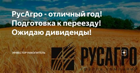 РусАгро - отличный год! Подготовка к переезду! Ожидаю дивиденды ...