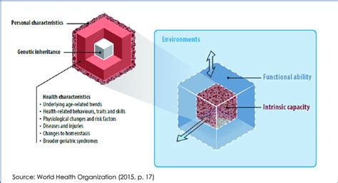 Ageing 的图像结果
