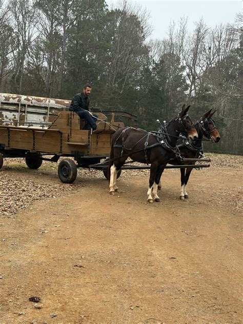 Harris Funeral Home & Cremation Services | Abbeville SC