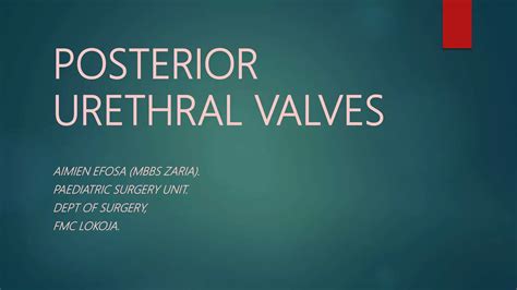 Posterior Urethral Valves | PPTX