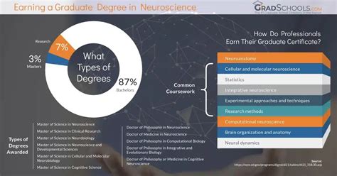 Image result for Neuroscience Degree Programs