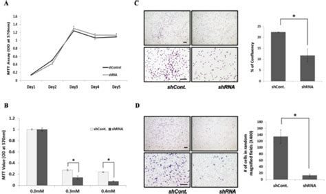 Quiescin Sulfhydryl Oxidase 1 (QSOX1) Secreted by Lung Cancer Cells ...