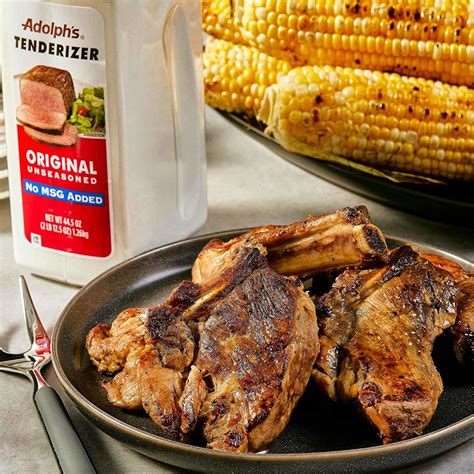 Adolph's Unseasoned Tenderizer 44.5 oz - Meat Tenderizing Powder | Buy ...