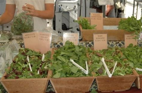 Local Food Sources 的图像结果