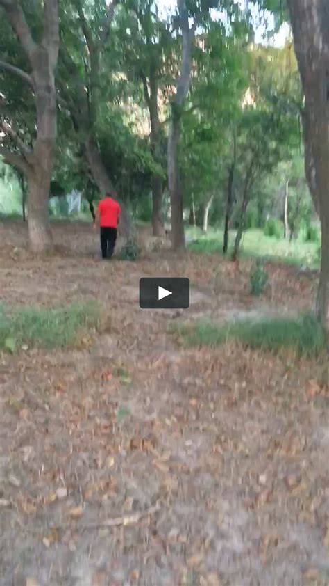 Image result for Vimeo One String