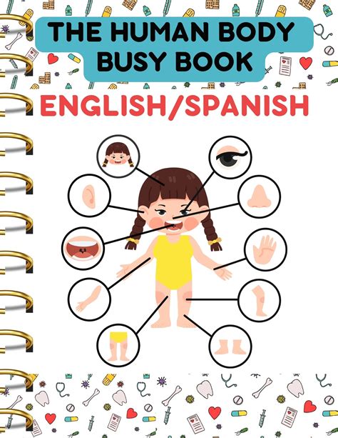 1st Grade Cursive Writing English/Spanish Human Body/El Cuerpo ...