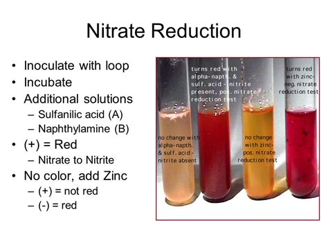 Image result for Nitrate Acid Test
