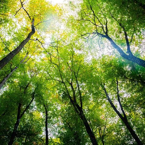 Image result for Barcode Scanner Test